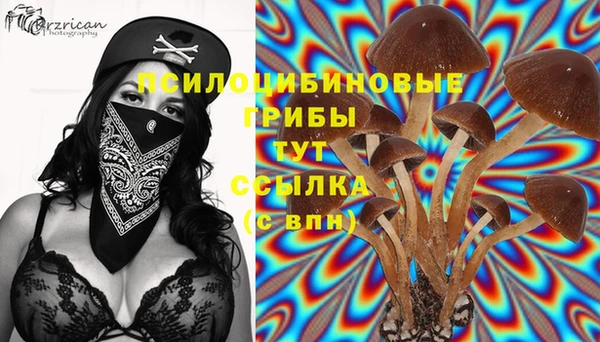 альфа пвп Краснотурьинск