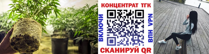 магазин  наркотиков  Ядрин  ТГК THC oil 