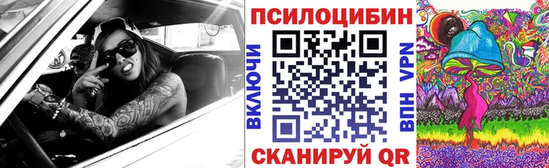 Галлюциногенные грибы прущие грибы  купить наркоту  Ядрин 